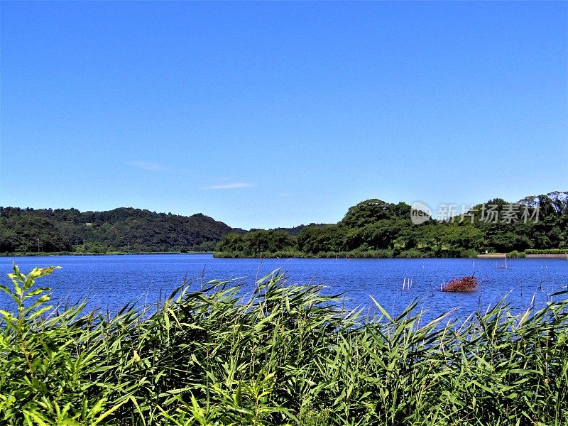 日本。8月。福井市青原市的北方湖。