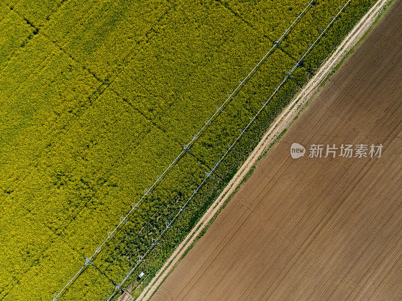 从无人机和乡村公路上看到的农田