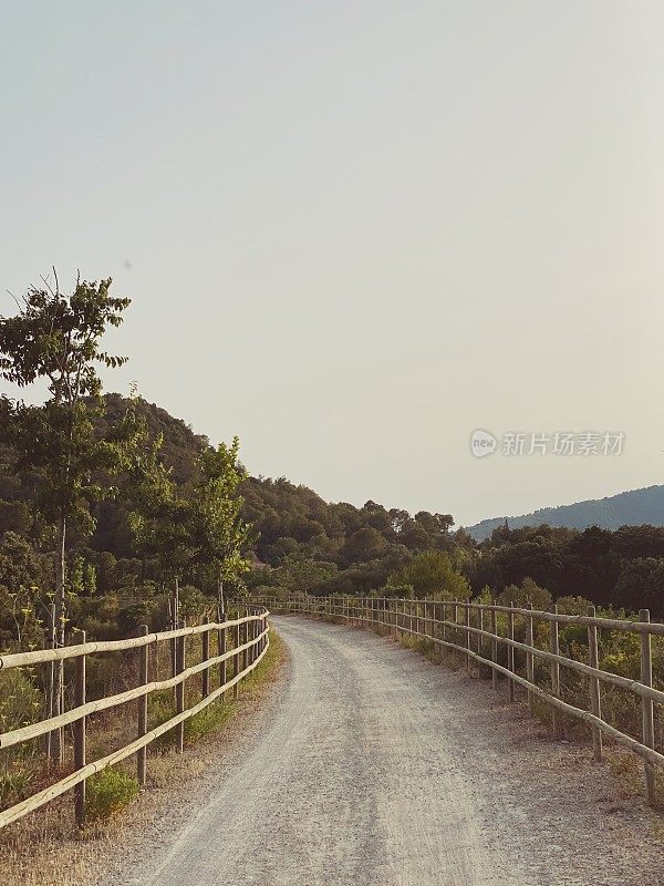 夏天漫步在绿路上