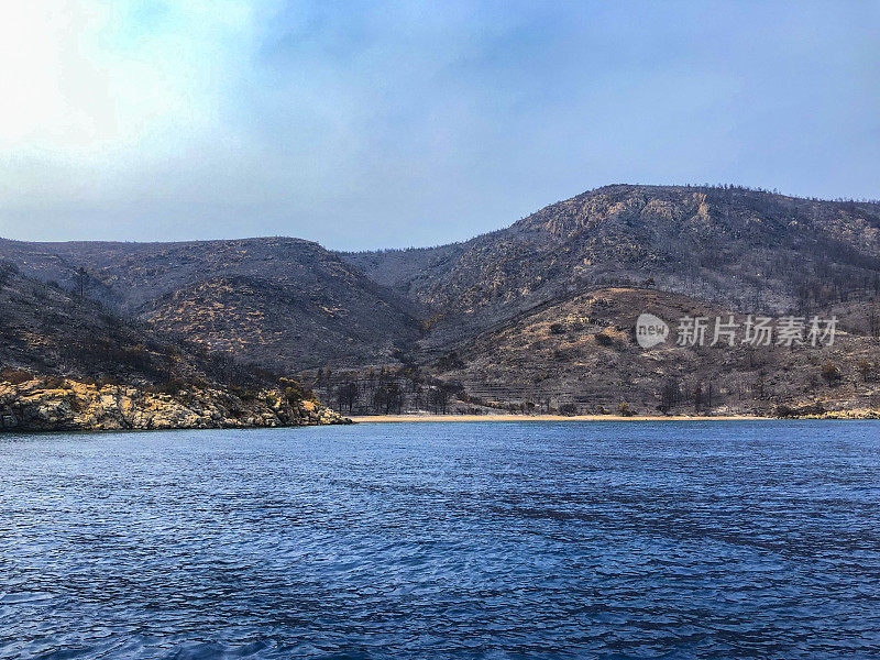 海岸森林大火之后