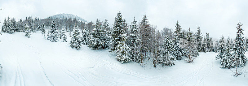 冬天的风景在雾与雪和树枝覆盖着白霜和冰冻的雪。高质量的照片