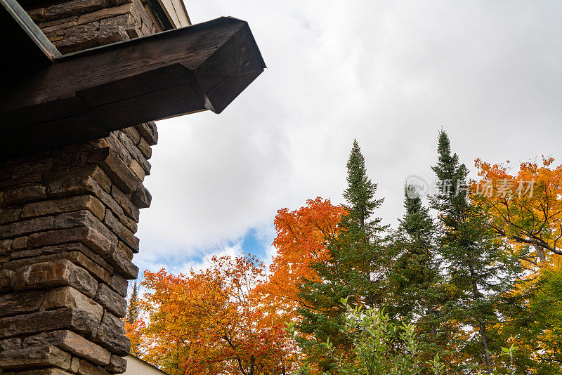 加拿大安大略省阿尔冈昆省公园艺术中心小路上的秋色