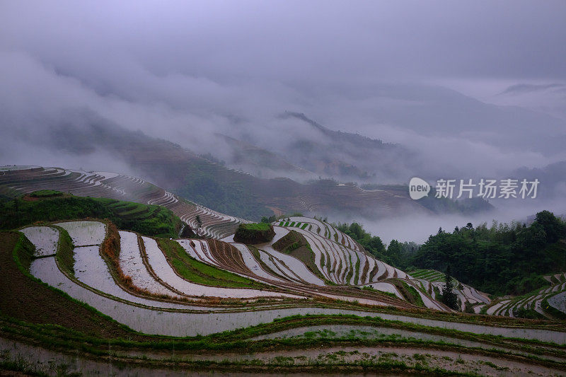 隆基水稻梯田