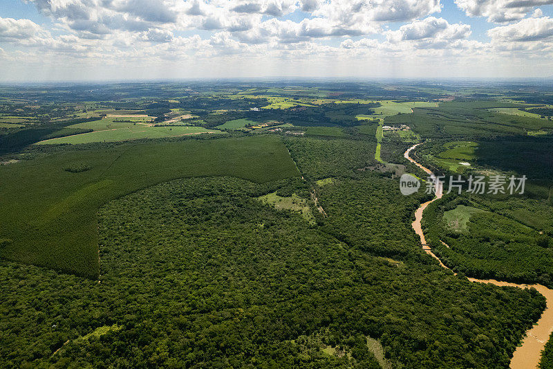 大面积的原生和种植的森林，São保罗，巴西