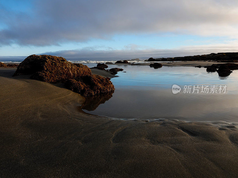 清晨阳光下的加州海滩和潮汐池。