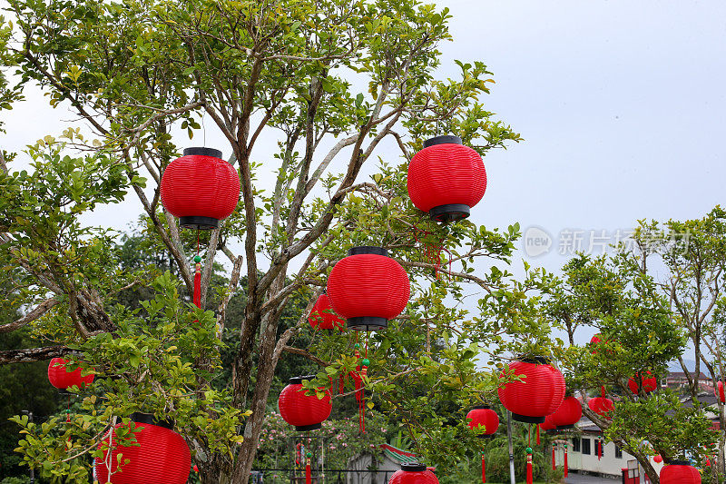 中国新年