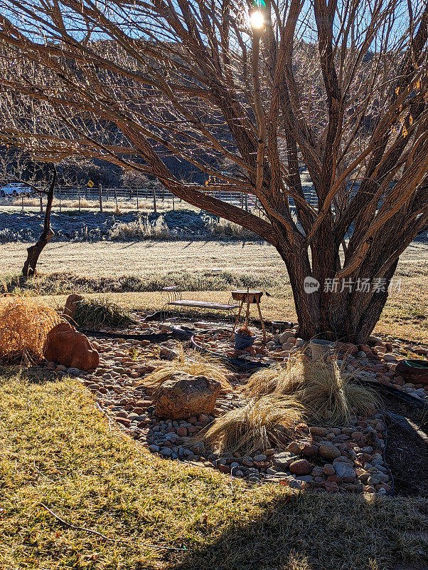 在犹他州洛克维尔，沿着格拉夫顿路的乡村栅栏，以南梅萨为背景，观看冬天的岩石花园和柳树