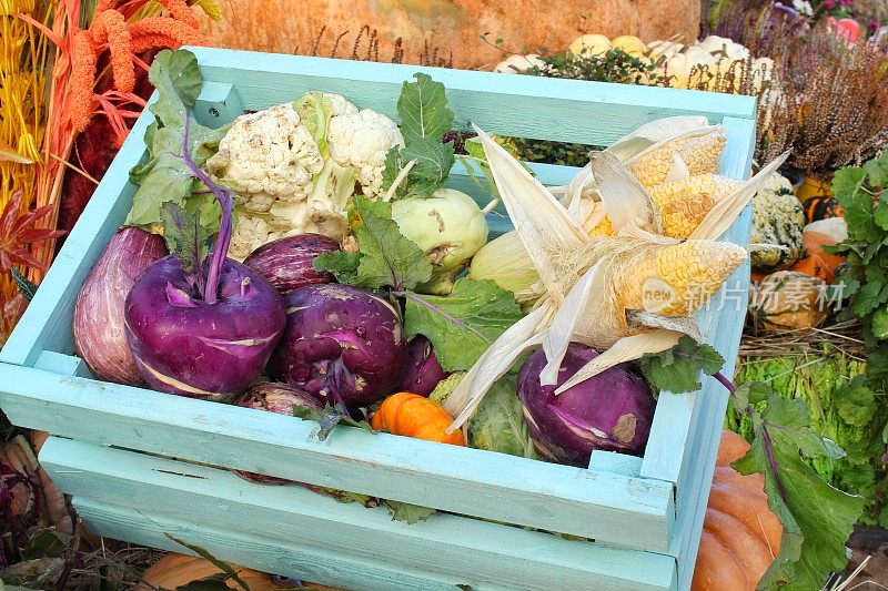 有机新鲜蔬菜木箱农贸市场。秋收时节概念。花园秋天自然植物。