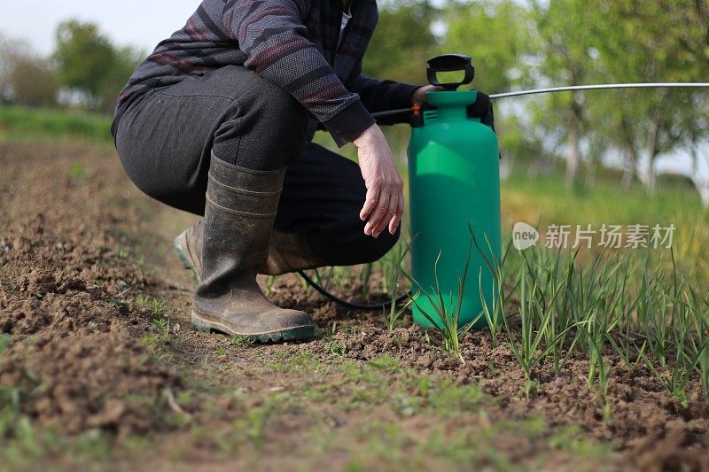 人用喷雾剂防治植物害虫