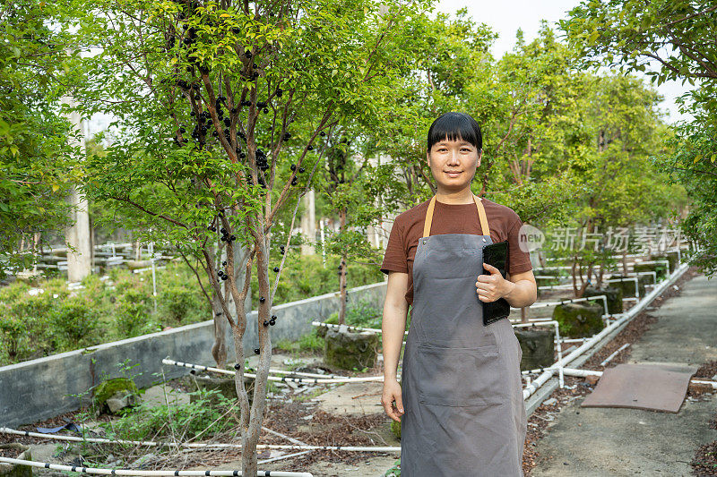 一位亚洲女农民正在果园里用药片检查贾布提卡巴的生长情况