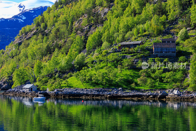 从Geirangerfjord乘船欣赏雪山、树木、瀑布和晴朗的天空