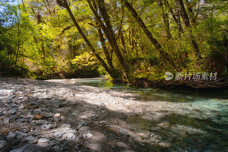 新西兰哈斯特帕斯河风景区