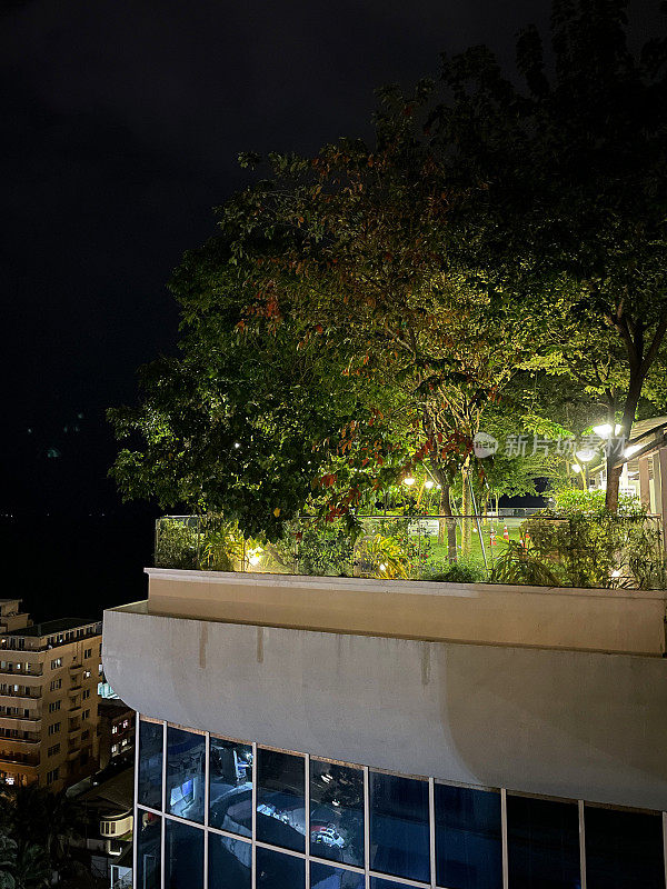 城市的屋顶景观图像，夜间有电力照明设备照亮的屋顶花园，草坪，树木和植物的边界，景观屋顶，重点在前景