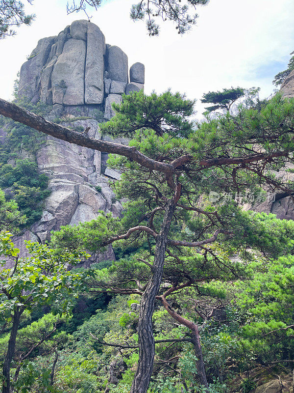 夏天徒步旅行