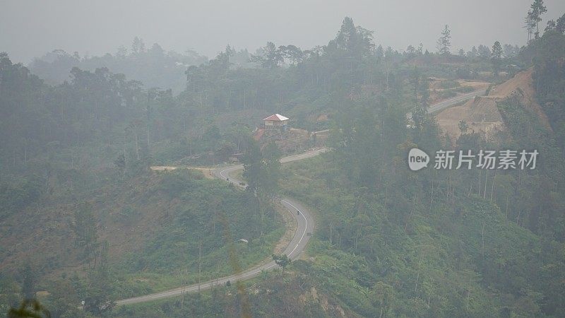 在山上采伐森林