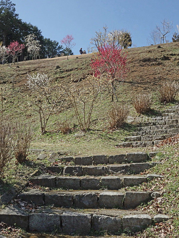 吉野巴林公园