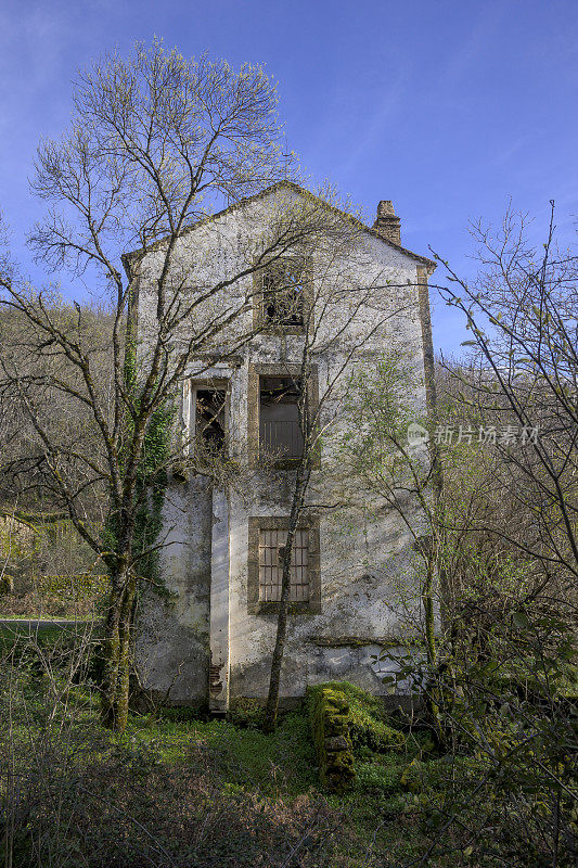 废弃的房子，有几层楼，在森林中间垂直拆除了一半