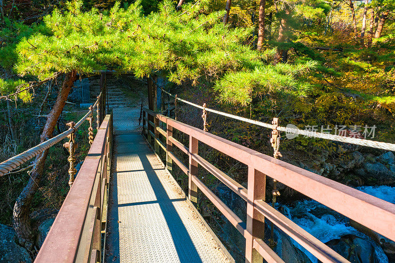 贾府。日本。秋天的峡谷。一座横跨山间河流的桥。峡谷上的木桥。森林里的吊桥。为游客准备的道路是松教峡。游览府府市。