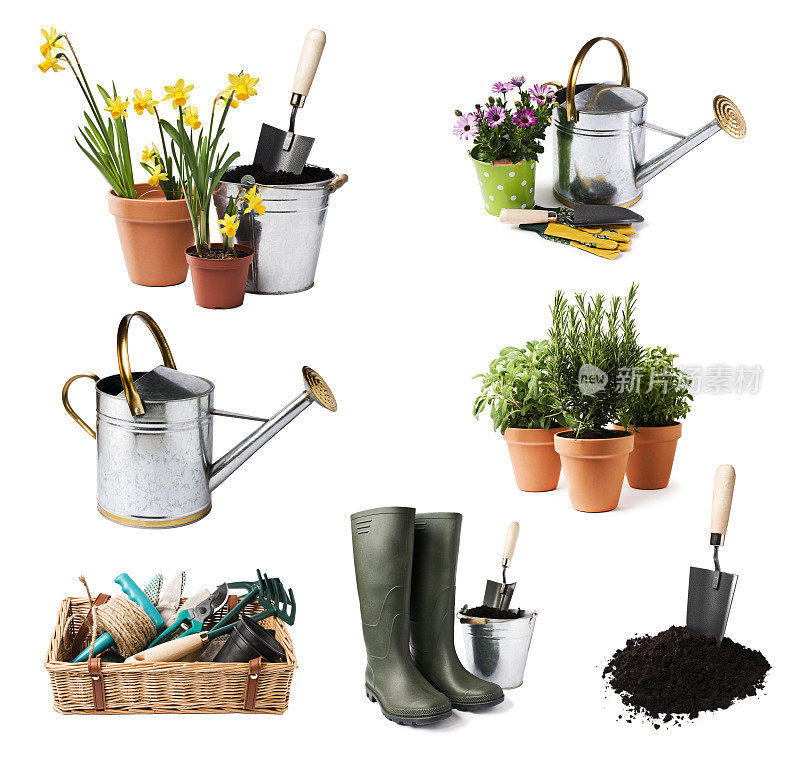 选择园艺工具和盆栽植物