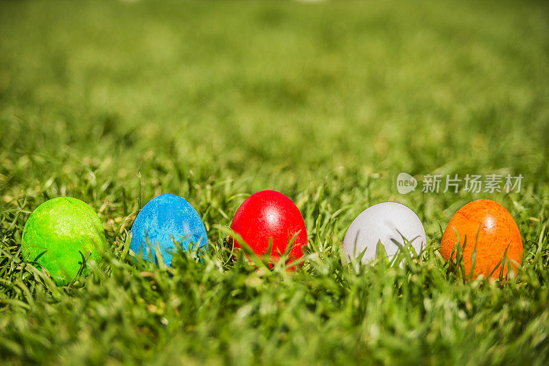 5个五彩缤纷的复活节彩蛋在草地上排成一排