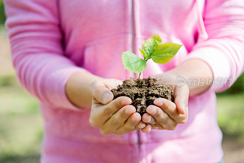 女人手里拿着一株小植物