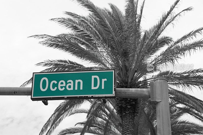 迈阿密南部著名的海洋大道的街道标志