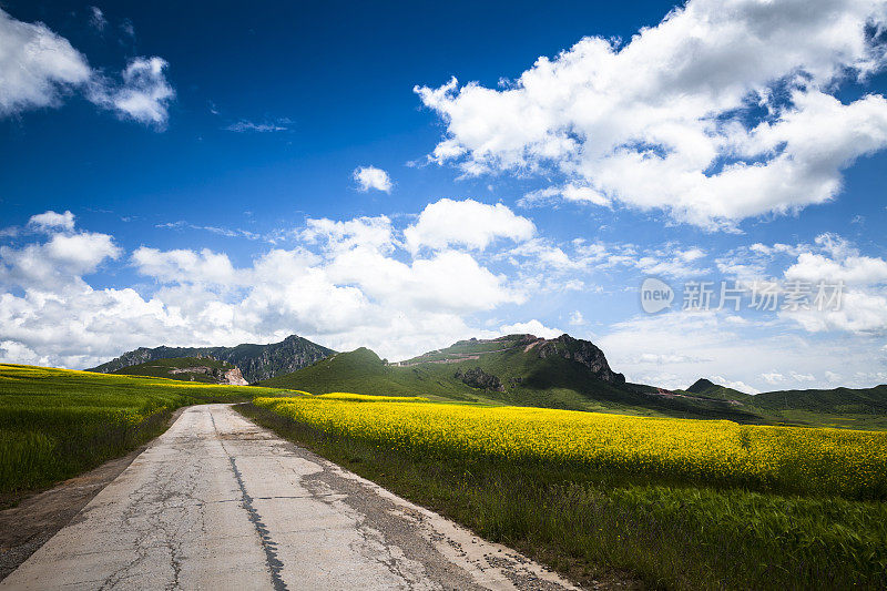 这条乡间小路穿过油菜田