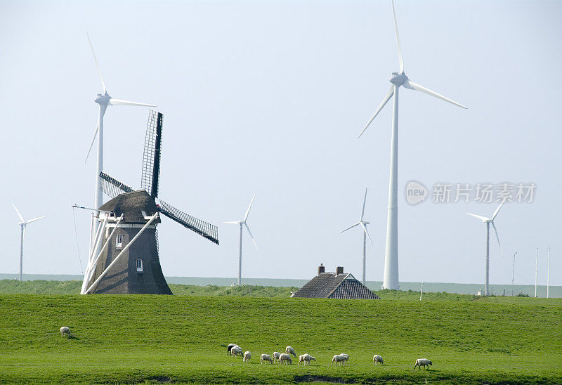 旧与新能源:放牧绵羊附近的堤坝在伊姆沙文