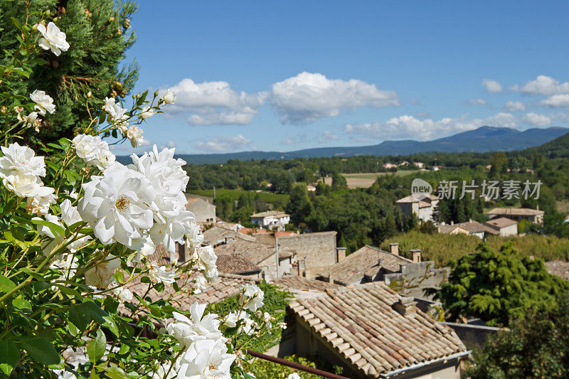 普罗旺斯:白色玫瑰的风景