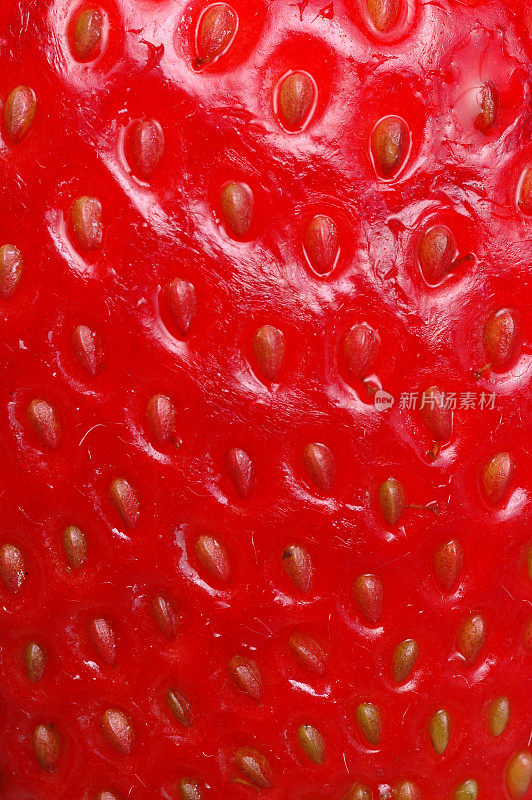 红草莓光泽皮