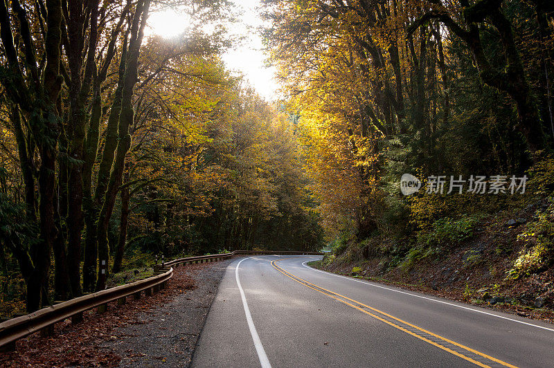 秋天的道路