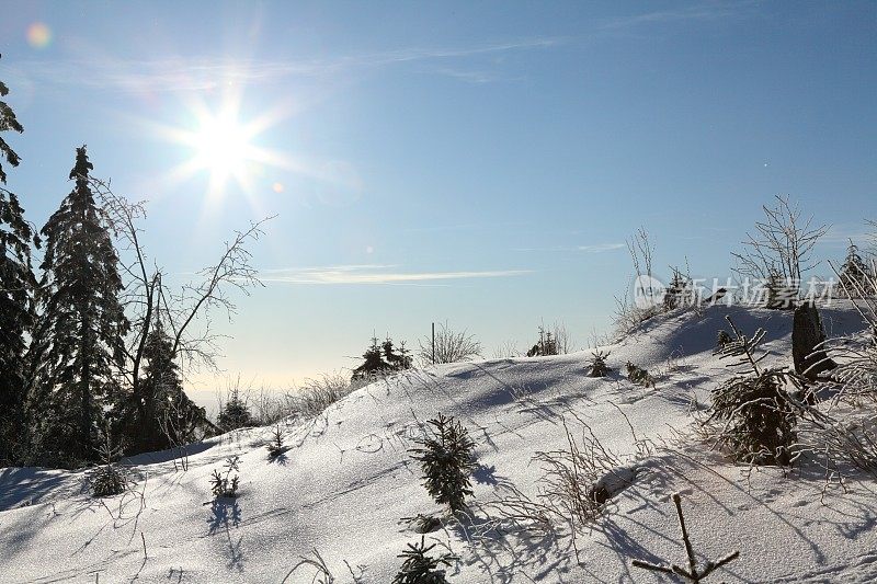 冬天的风景与雪在黑森林