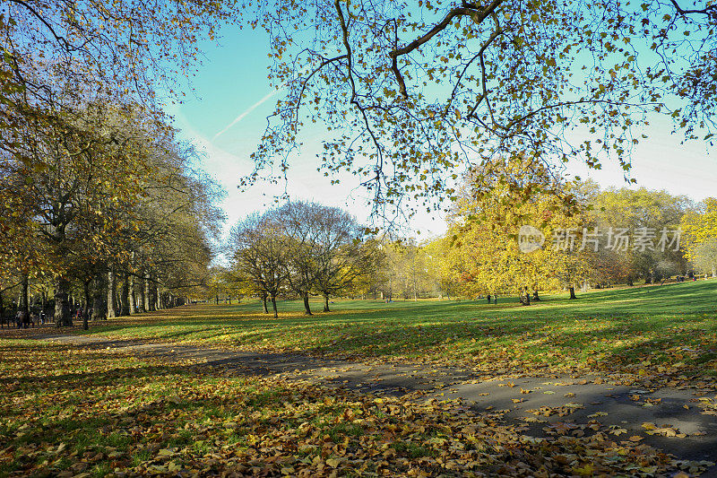 英国伦敦秋天的圣詹姆斯公园
