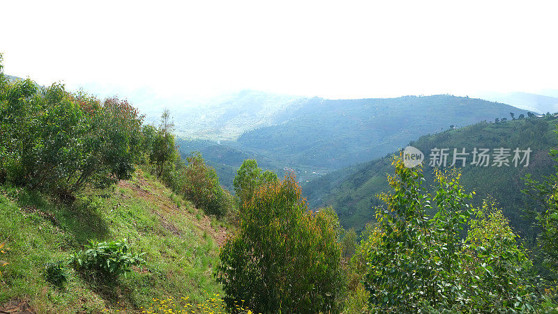 卢旺达:该国北部的风景