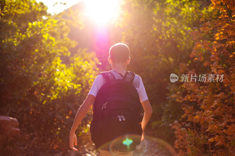 秋天远足的男孩