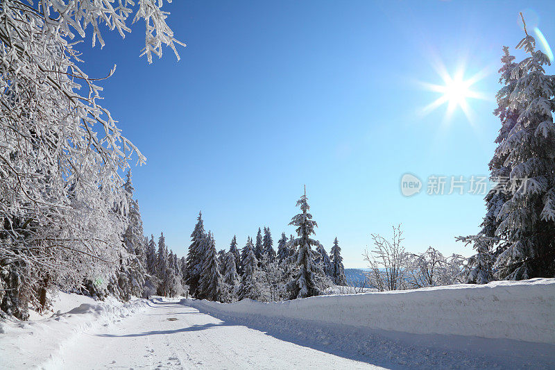 阳光winterday