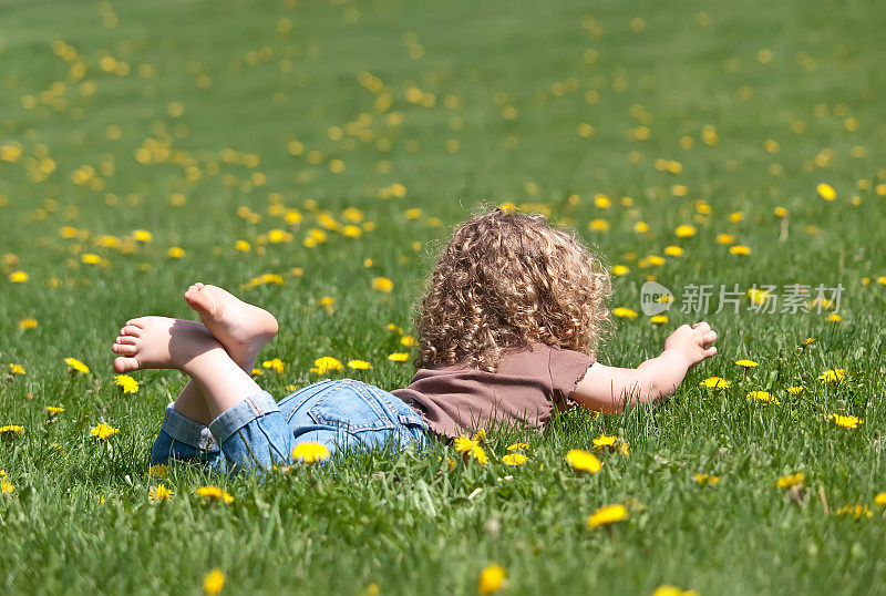 躺在蒲公英草地上的女孩