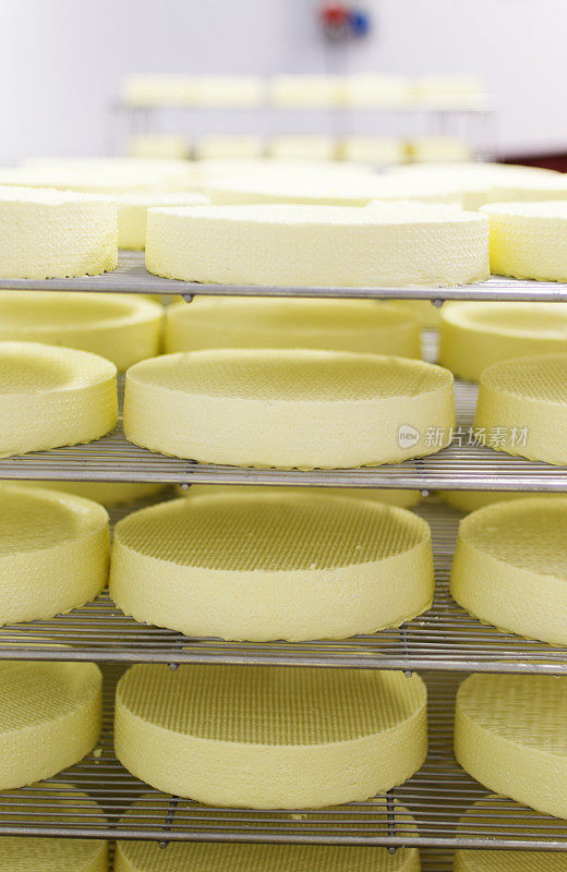 奶酪生产