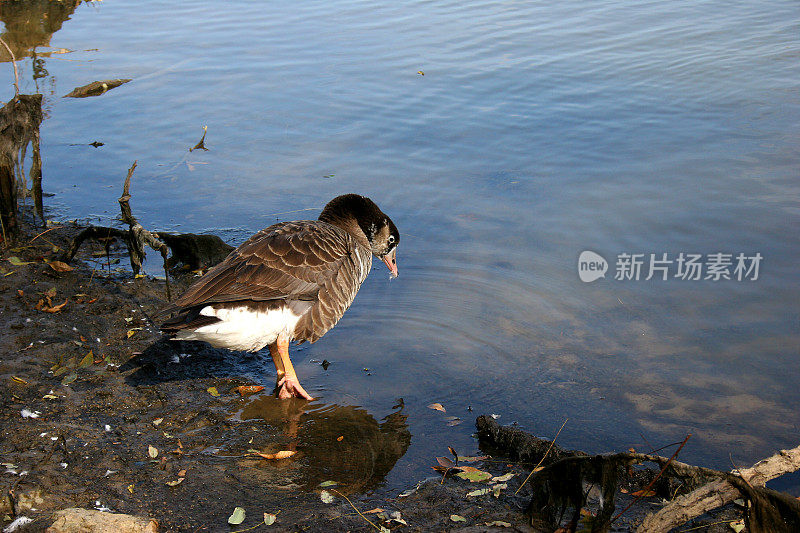 测试水