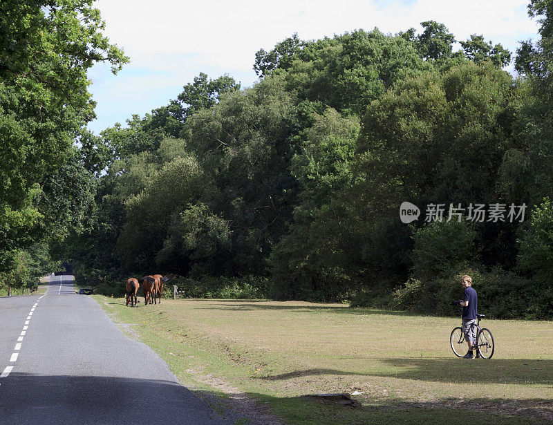 骑自行车的人和马在森林道路上