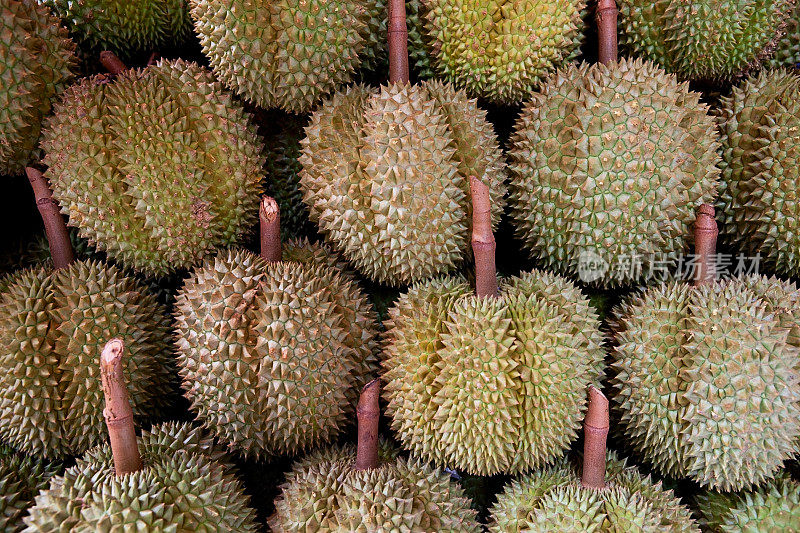榴梿热带水果
