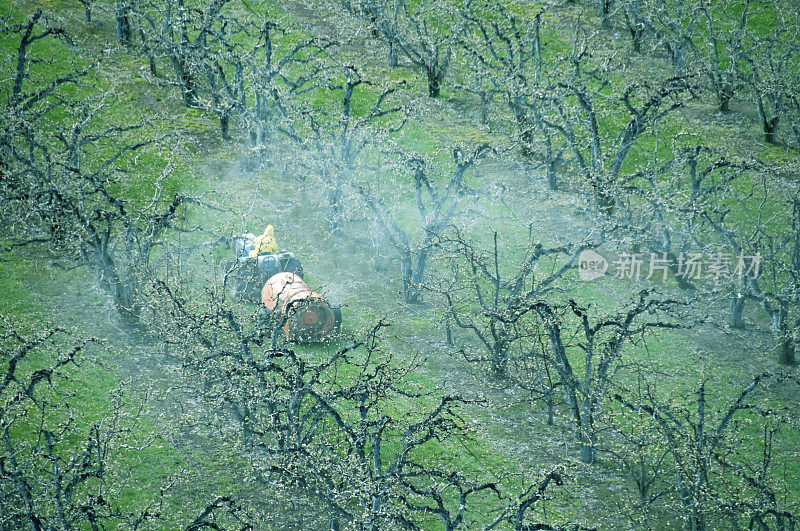 拖拉机拖着杀虫剂喷雾器穿过华盛顿州的苹果园