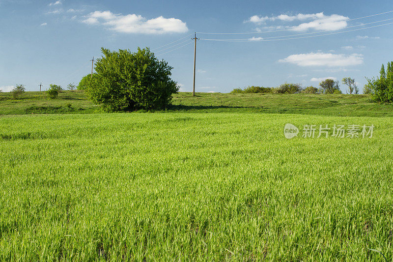 村春田