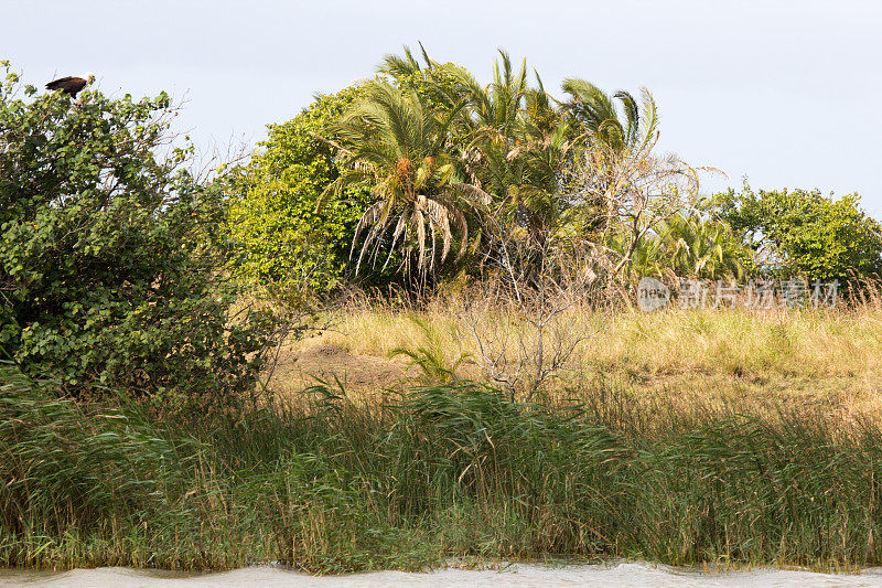 南非夸祖鲁-纳塔尔省的iSimangaliso湿地公园