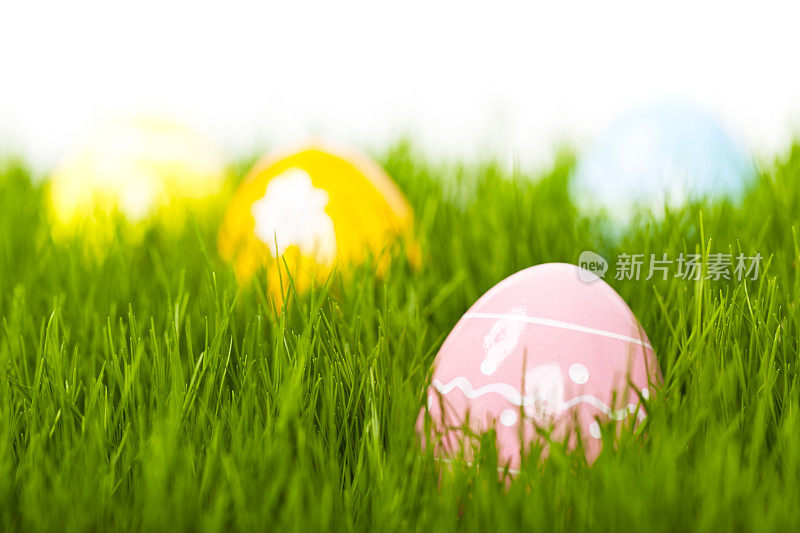复活节彩蛋在绿色的草地上