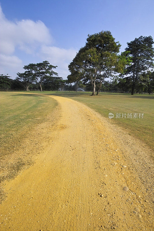 有树的乡村道路