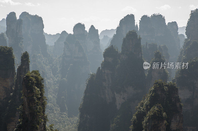 砂岩柱，张家界国家森林公园，中国