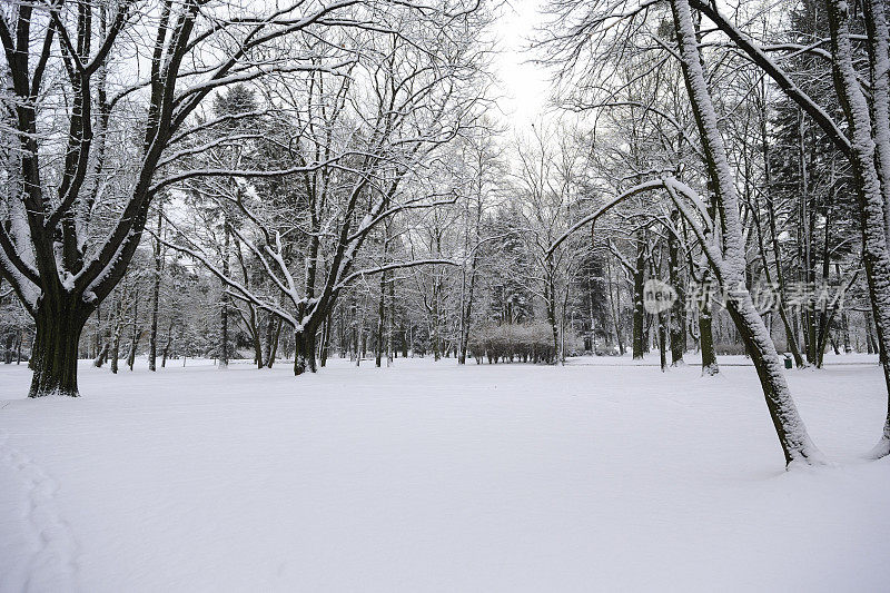 公园里的冬天