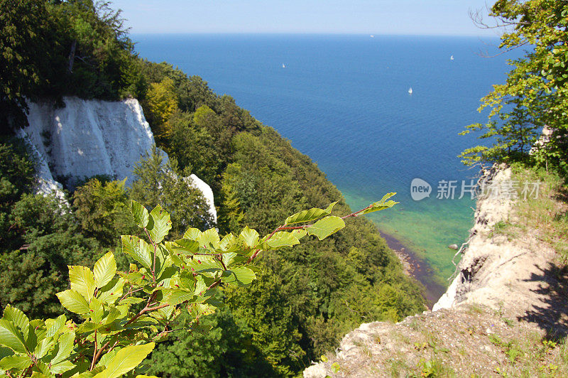 春天鲁根岛(德国)的白色白垩岩