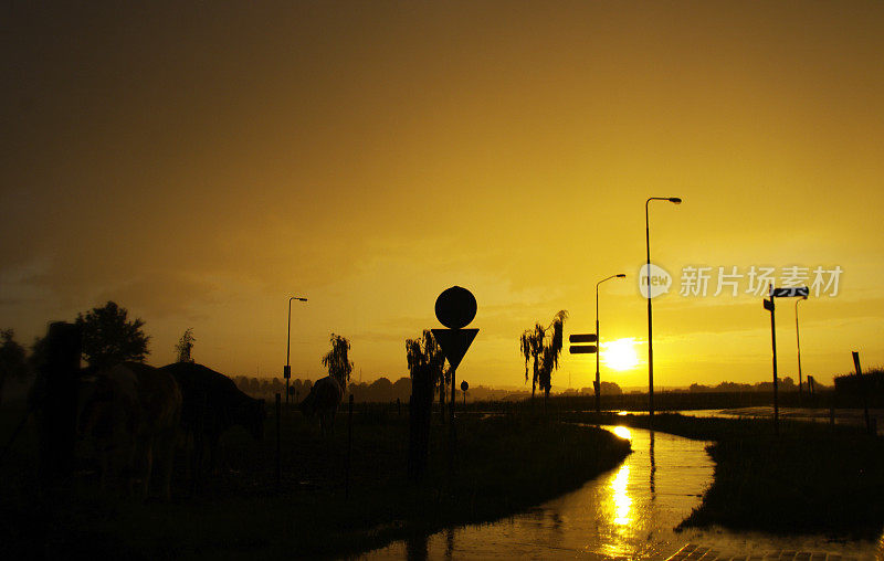 雷雨后